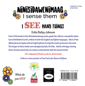 Ninisidawenimaag - I See Many Things (Book 1)