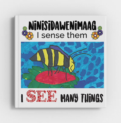 Ninisidawenimaag - I See Many Things (Book 1)